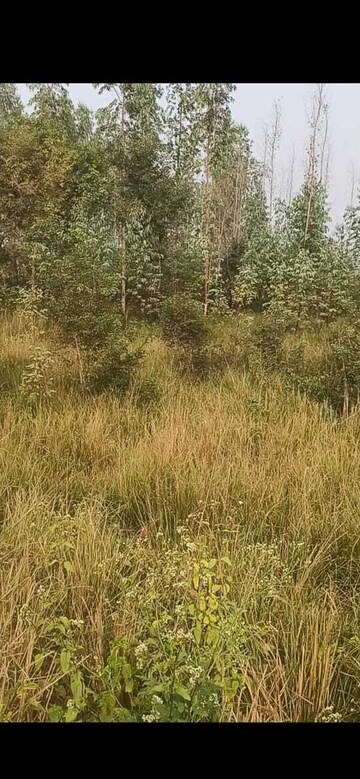 Plot Area in  Plot at Danapur – for Sale