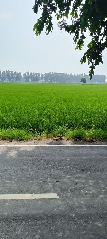 Plot Area in  Land at Ganaur – for Sale