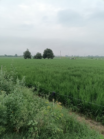 Plot Area in  Land at Ganaur – for Sale