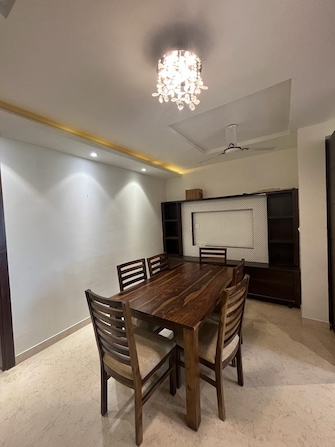 3 BHK Builder Floor For Rent in Ansal Sushant Lok I Sector 43 Gurgaon  8031745