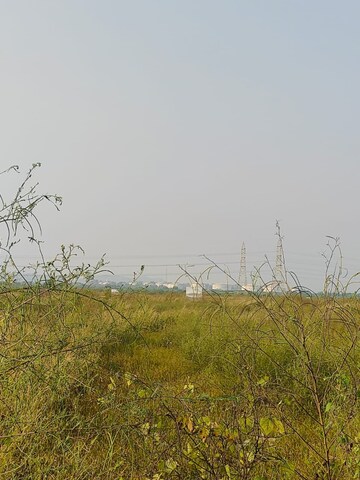 Plot Area in  Plot at Pali – for Sale