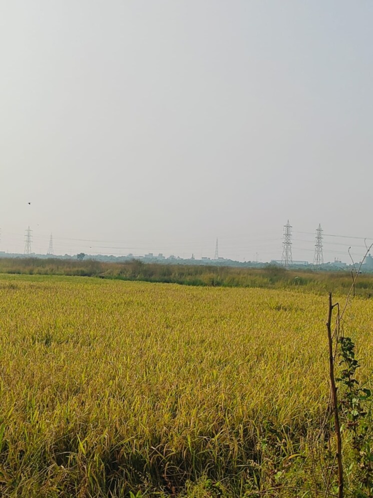 undefined, pali  1089 Sq.Ft. Plot In Pali Navi Mumbai 8031924