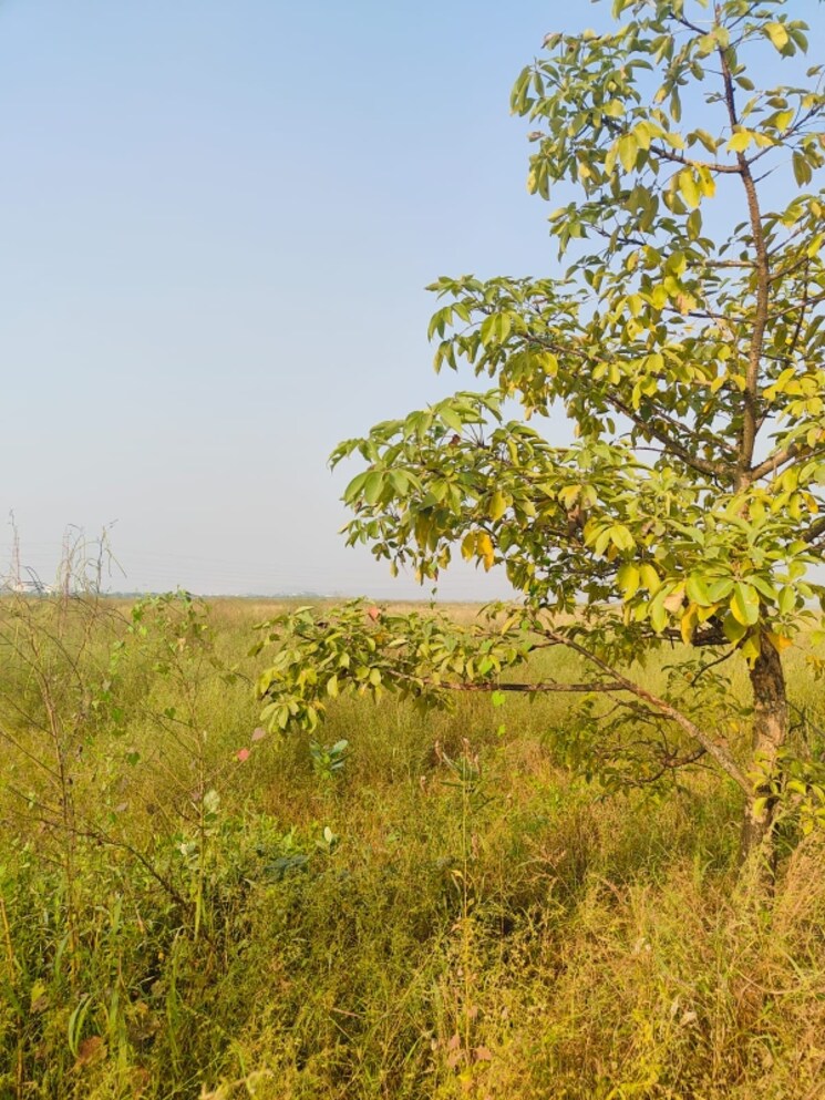 undefined, pali  1089 Sq.Ft. Plot In Pali Navi Mumbai 8031927