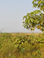 1089 Sq.Ft. Plot in Legal Property Developers