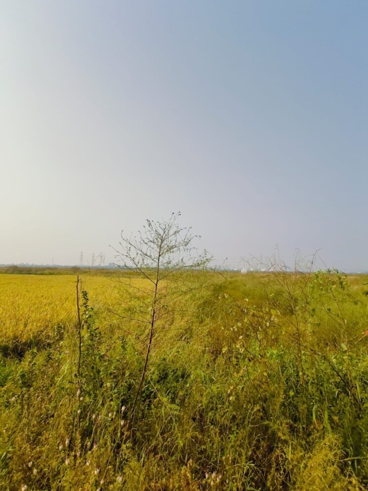 undefined, pali  1089 Sq.Ft. Plot In Pali Navi Mumbai 8031946