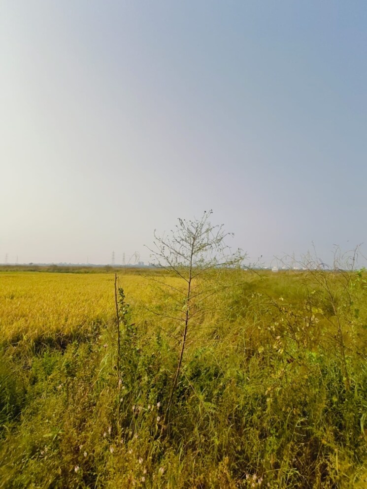 undefined, pali  1089 Sq.Ft. Plot In Pali Navi Mumbai 8031946