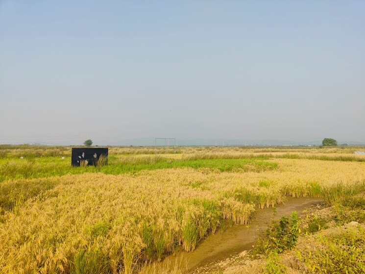 undefined, pali  1089 Sq.Ft. Plot In Pali Navi Mumbai 8031961