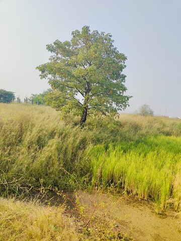  Plot For Sale in Pali