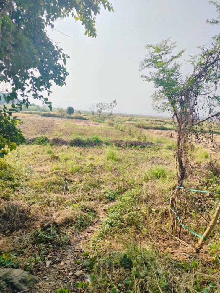 undefined, pali  1089 Sq.Ft. Plot In Pali Navi Mumbai 8031961