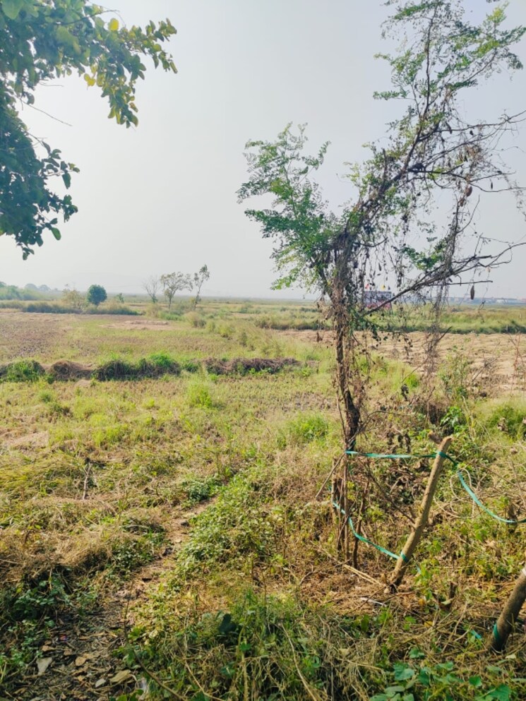 undefined, pali  1089 Sq.Ft. Plot In Pali Navi Mumbai 8031961