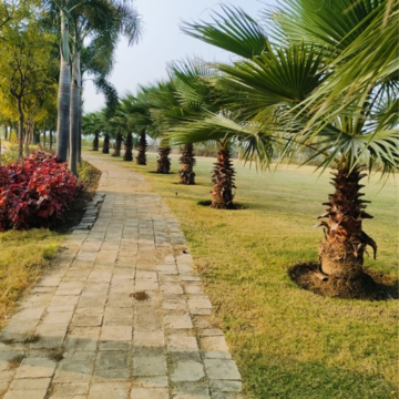  Plot – Garden View at Amleshwar - for Sale