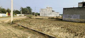 Plot For Resale in Jankipuram Extension Lucknow  8032182