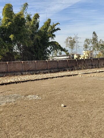 Plot Area in  Plot at Shahpur – for Sale