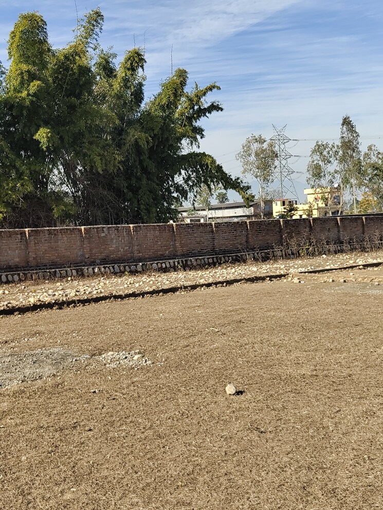 undefined, shahpur  100 Sq.Yd. Plot In Shahpur Dehradun 8032244