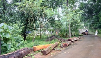 Plot For Resale in Payyanur Kannur  8032408