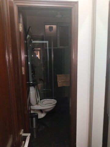 Bathroom in 3 BHK Apartment at Uday Park – for Rent