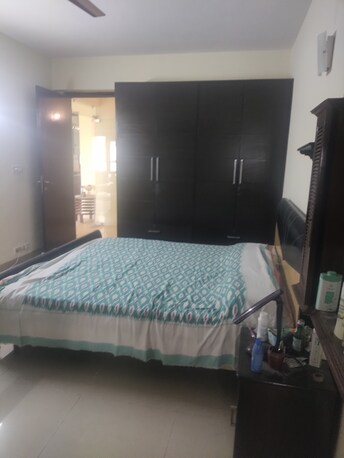 2 BHK Apartment For Rent in Eros Kenwood Tower Charmwood Village Faridabad  8032550