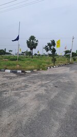 200 Sq.Yd. Plot in Rainboweast 