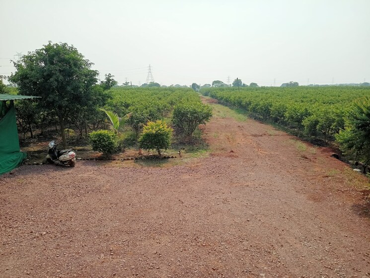 undefined, hirapur  14000 Sq.Yd. Plot In Hirapur Raipur 8033042