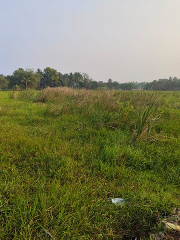 Plot Area in  Plot at Joka – for Sale