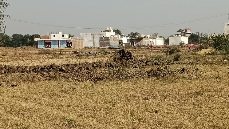 undefined, kandul  1000 Sq.Ft. Plot In Kandul Raipur 8033224