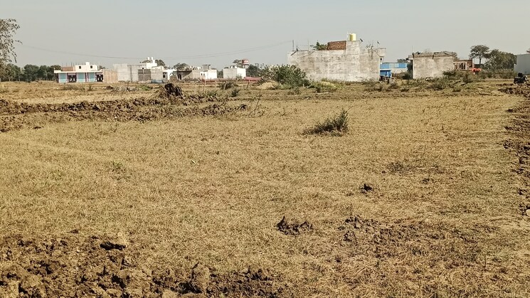 undefined, kandul  1000 Sq.Ft. Plot In Kandul Raipur 8033224