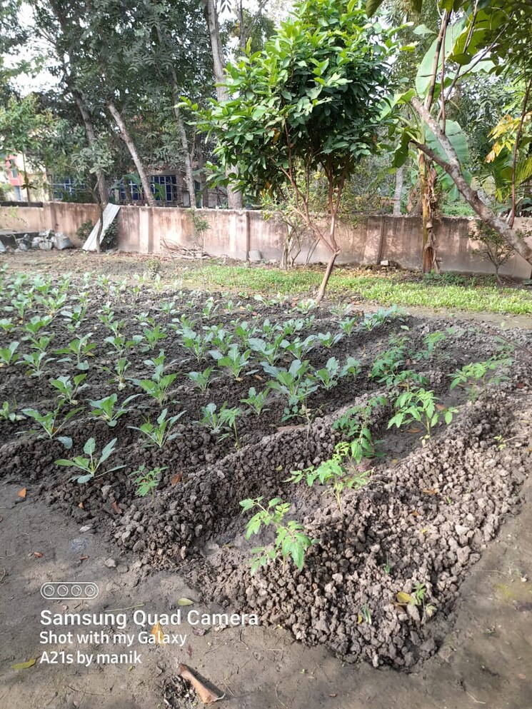 Master Bedroom, joka-metro-city-1 5 Bedroom 3000 Sq.Ft. Independent House In Thakurpukur Kolkata 8033251