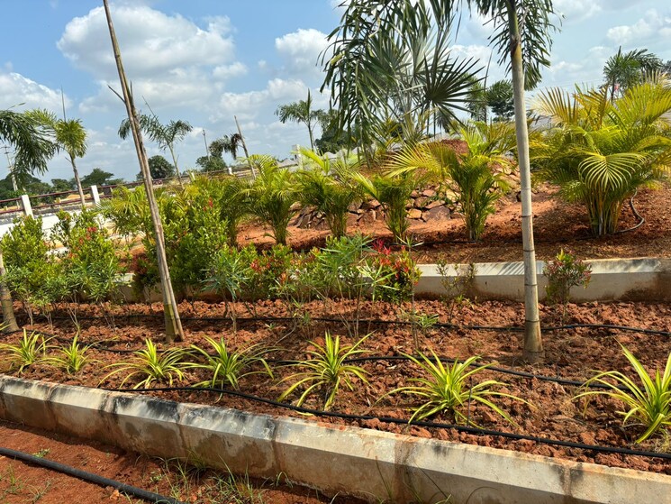 Garden, sri-bhumi-eeshaanya  166 Sq.Yd. Plot In Kankipadu Vijayawada 8033324