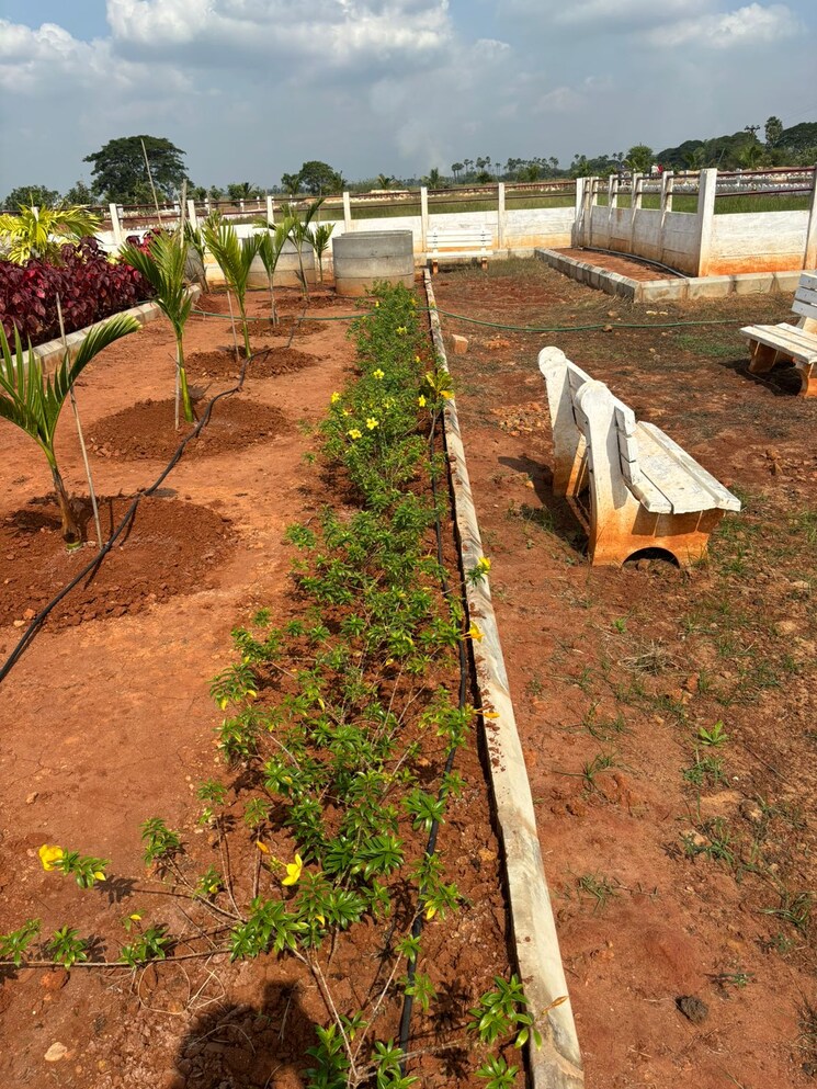 Exterior View, sri-bhumi-eeshaanya  166 Sq.Yd. Plot In Kankipadu Vijayawada 8033324