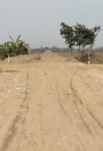 Plot Area in  Plot at Joka – for Sale