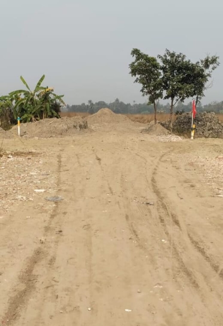 undefined, joka  1440 Sq.Ft. Plot In Joka Kolkata 8033391