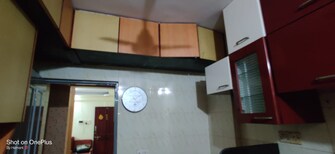 1 BHK Apartment For Rent in Girnar Tower Parel Parel Mumbai  8033491