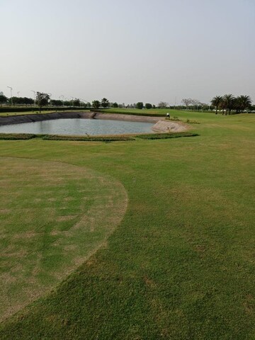 Plot For Resale in Orris Golf Homes Greenbay Yex Sector 22d Greater Noida  8033603