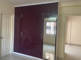 2 BHK Apartment For Rent in Ozone Evergreens Harlur Bangalore  8033698