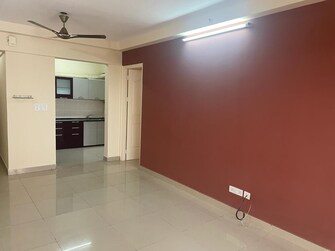 2 BHK Apartment For Rent in Ozone Evergreens Harlur Bangalore  8033698