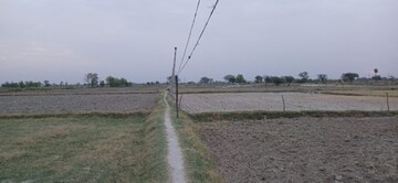 Plot Area in  Plot at Maholi Road – for Sale