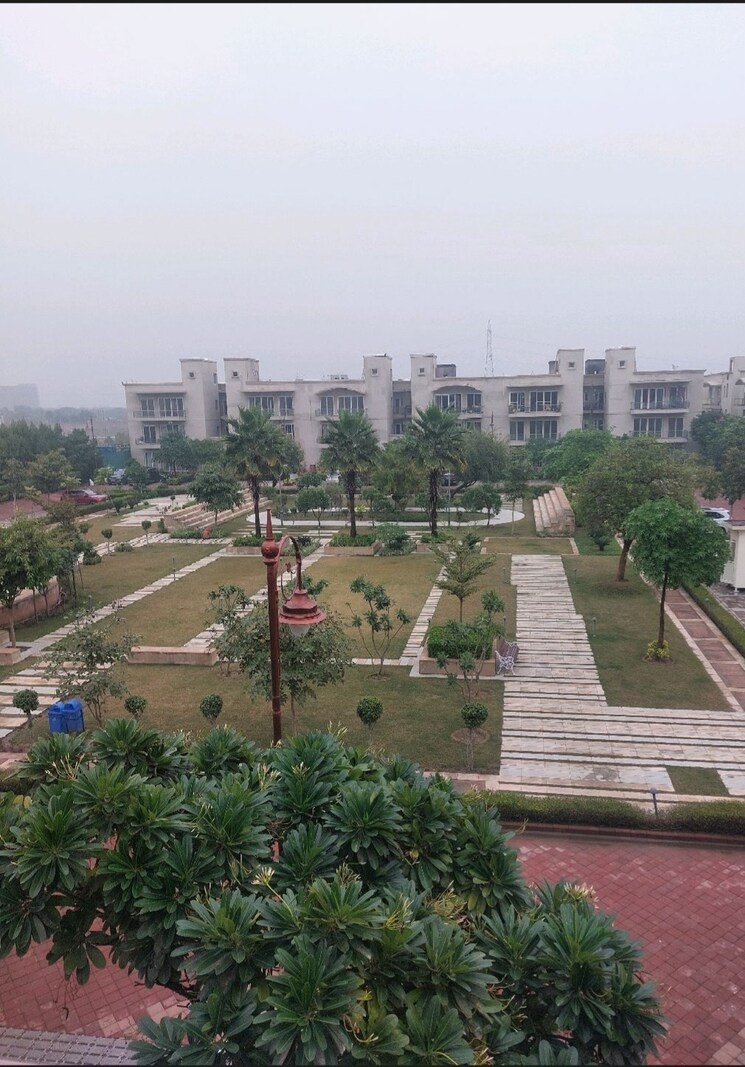 Exterior View, bptp-amstoria 3 Bedroom 303 Sq.Yd. Builder Floor In Sector 102 Gurgaon 8033700