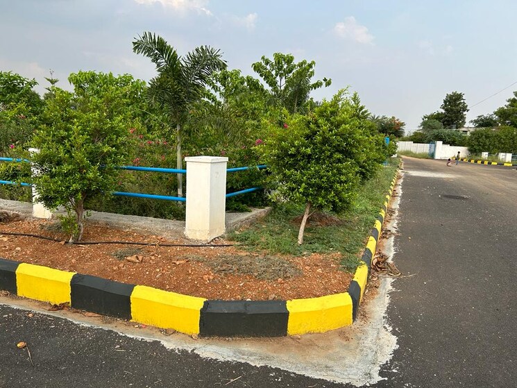 Garden, jb-serene-county  212 Sq.Yd. Plot In Kongara Kalan Hyderabad 8033762