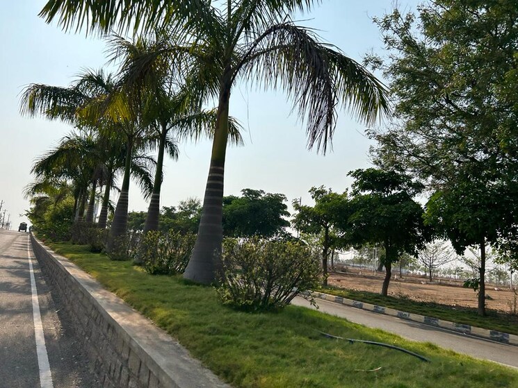 Garden, ibrahimpatnam  281 Sq.Yd. Plot In Ibrahimpatnam Hyderabad 8033801