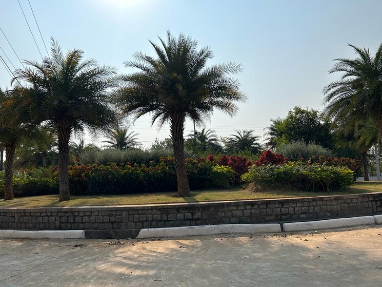 undefined, ibrahimpatnam  281 Sq.Yd. Plot In Ibrahimpatnam Hyderabad 8033801