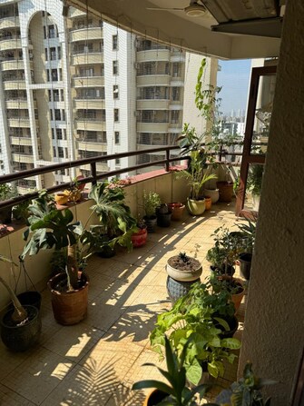 5 BHK Apartment For Rent in Vipul Belmonte Sector 53 Gurgaon  8033871