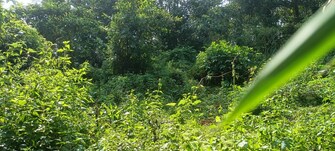 Plot For Resale in Chirakkadavu Kottayam  8029598