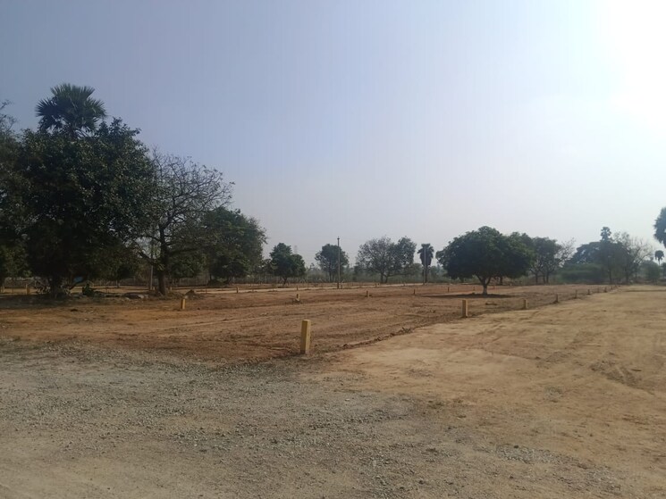 undefined, peeranchuruvu  242 Sq.Yd. Plot In Peeranchuruvu Hyderabad 8034030