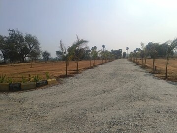 Plot Area in  Plot at Peeranchuruvu – for Sale