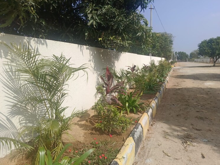 undefined, peeranchuruvu  242 Sq.Yd. Plot In Peeranchuruvu Hyderabad 8034030