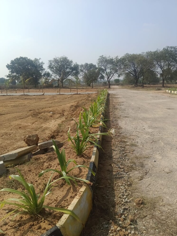 undefined, peeranchuruvu  242 Sq.Yd. Plot In Peeranchuruvu Hyderabad 8034030