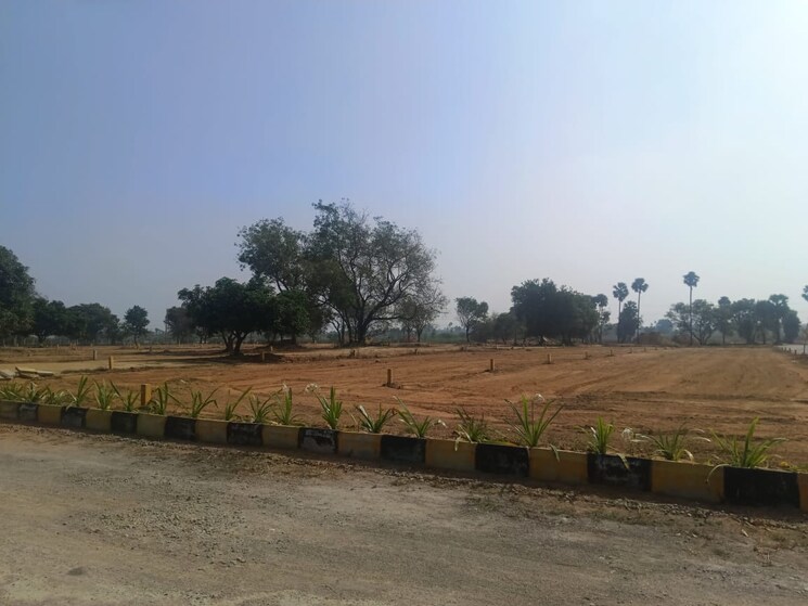 undefined, peeranchuruvu  242 Sq.Yd. Plot In Peeranchuruvu Hyderabad 8034030
