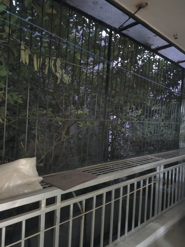 Balcony, bptp-parkland 4 Bedroom 300 Sq.Yd. Builder Floor In Sector 75 Faridabad 8034036