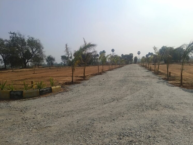 undefined, peeranchuruvu  242 Sq.Yd. Plot In Peeranchuruvu Hyderabad 8034042