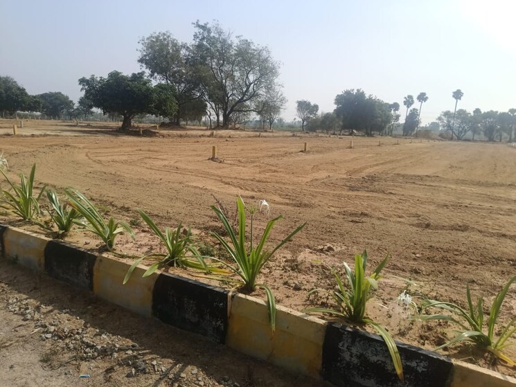 undefined, peeranchuruvu  242 Sq.Yd. Plot In Peeranchuruvu Hyderabad 8034042